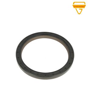 51015106010 Crankshaft Oil Seal F2000 51015100283 Truck Rubber Parts