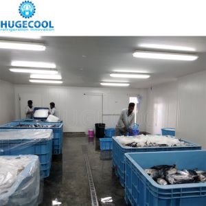 5HP Condensing Unit Cold Storage Room for Fish with Customized Request and