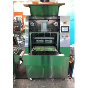 60VAC 4BPM Industrial Vacuum Sealing Machine Boxed Fresh Meat Food Sealer SUS304