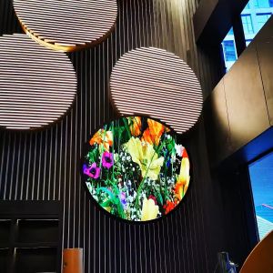 840mm Indoor P2 Round Led Display Video Screen 256x256