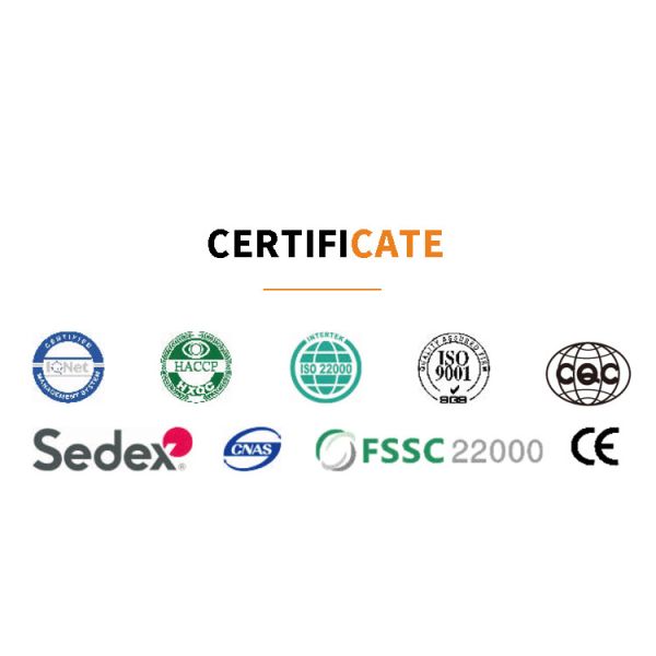 Fully Automatic Cone Production Equipment , With 63 260*240mm Baking Templates , With 63 260*240mm Baking Templates Cast