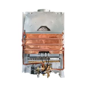 Household Thermostatic Wall-Mounted Gas Water Heater 16L