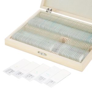 Students 100PCS Shockproof Prepared Slides For Biology