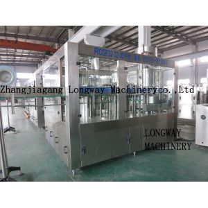 Quality China Famous Manufacturer Automatic Fruit Juice Bottling Machine for sale
