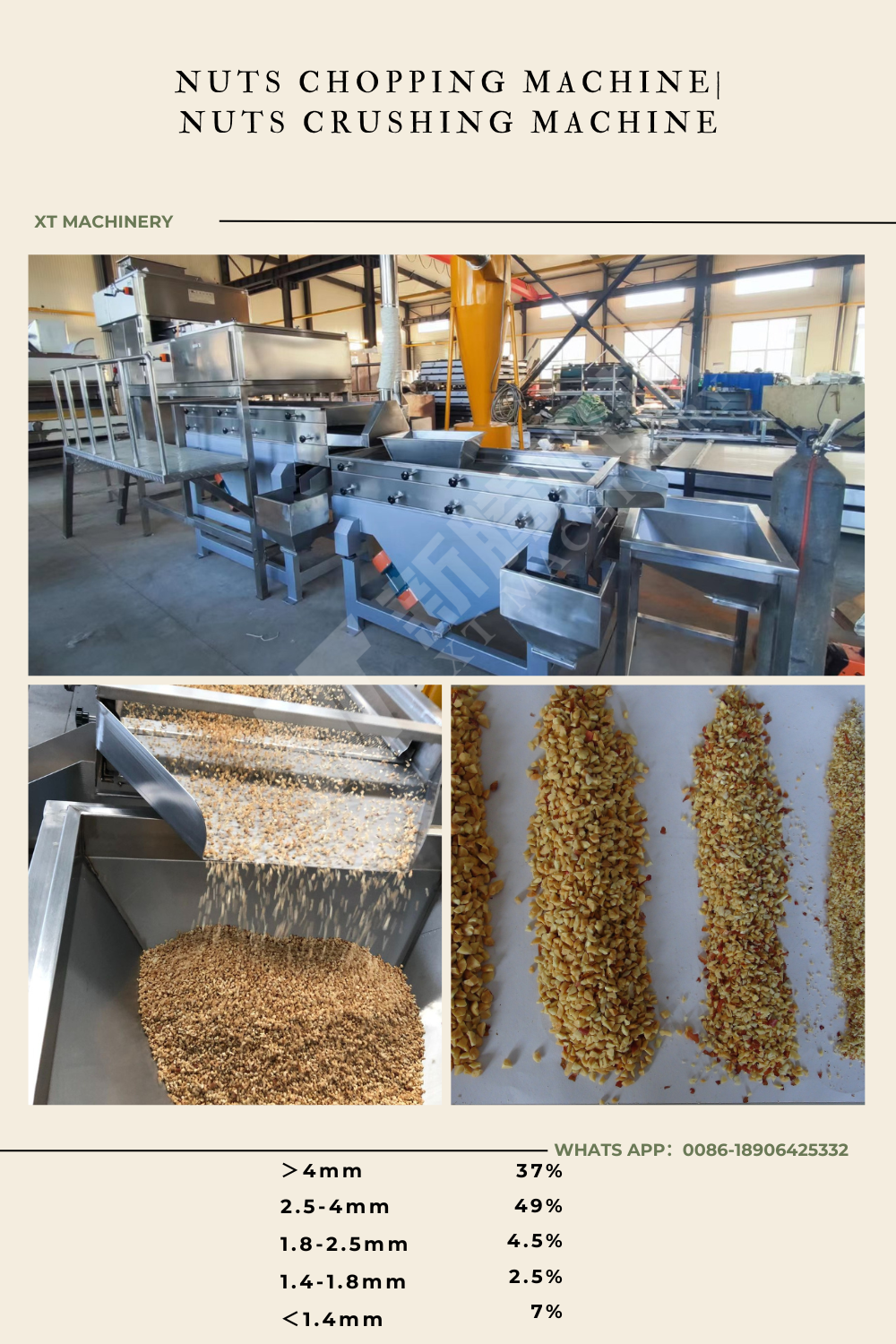 Automatic Grading Peanut Chopper Peanut Crushing Machine Nuts Chopping Machine