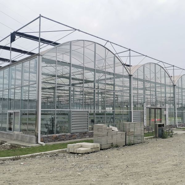 Buy Hydroponics Tomato Cucumber Flower Film Arch Automatic Multispan Glass Greenhouse at wholesale prices