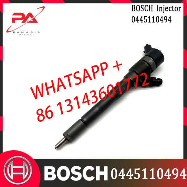 Diesel Huachen 4cyi./2.5l Fuel Injector 0445110494 Common Rail Diesel Fuel Injector 0445110494