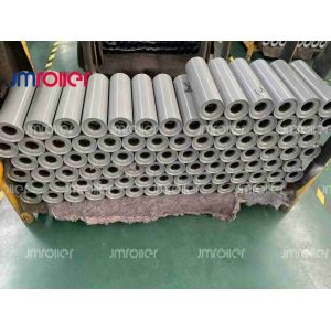 Long Lasting Sealed Bearing Carrying Roller for Dust and Moisture Protection