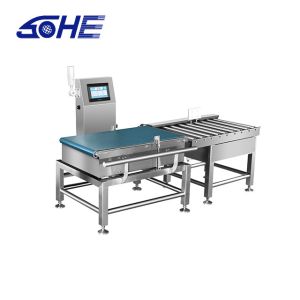 110V-220V Power Automatic Inspection Checkweighing Conveyor