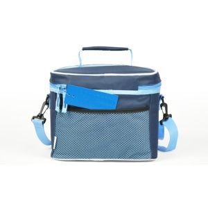 Picnic Cooler and Polyester Lunch Cooler Tote Bags