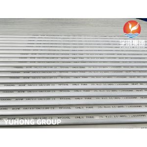 Austenitic ASTM A213 TP316L 1.4404 Seamless Heat Exchanger Tube