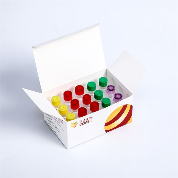 GDSBio NGS Library Construction Fast DNA Library Plus Prep Kit for MGI