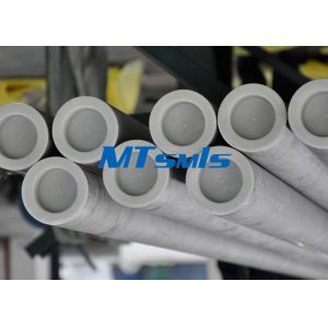 Quality Precise Seamless Duplex Stainless Steel Pipe DN200 UNS S32750 / S32760 for sale