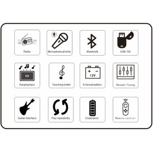 Bluetooth Multifunction Mobile Speaker 15 Inch Two Way Loudspeaker Wifi