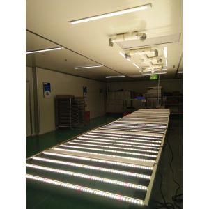 3500K Dimmable LED Grow Lights