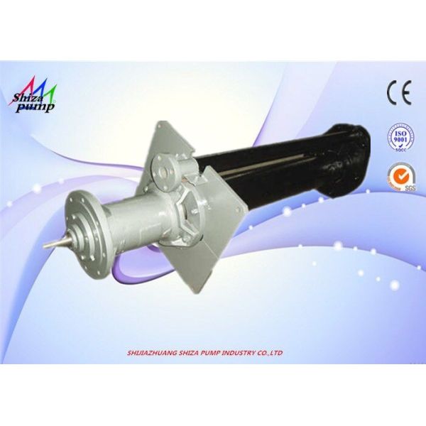 Buy No Leakage Vertical Submerged Centrifugal Pump , 100RV Vertical Cantilever Pump at wholesale prices