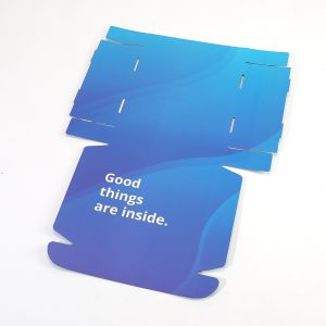 Custom CMYK Pantone Colour Printing Mailer Shipping Papier Karton Cardboard