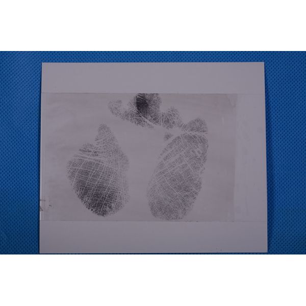 C159 White low gloss palm print backing sheet