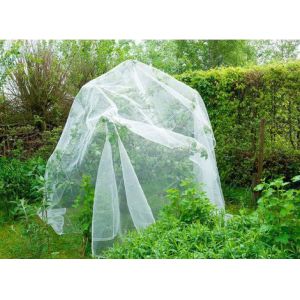 Quality Agricultural Anti Insect Net for Vegetable Gardens Insect Mesh for sale