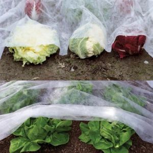 Quality Polypropylene Spunbond Agriculture Non Woven Fabric for sale