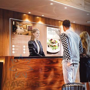 China Home Use Transparent OLED Screen , Double Sided Micro OLED Display on sale