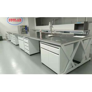 Upgrade Your Lab with Modern and Durable Powder Coating Laboratory Workstation