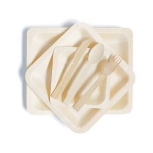 Square biodegradable Birch Wooden Disposable Party Bowls Tableware 8.5 Inch
