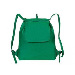 The Custom Imprinted eGreen Fold-Up Drawstring Cooler Backpack odm-l26