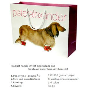 Brand costume bags, Brand clothes packing bags, Sports wear packing bags,