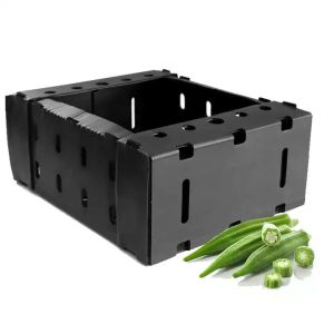 Asparagus Okra Fruit And Vegetable Packaging Boxes Coreflute