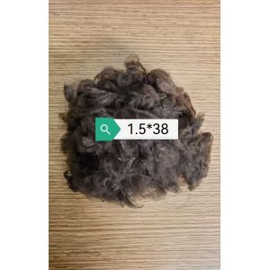 Recycled Polyester Staple Fiber – Complete Specifications, Wide Range Of Colors