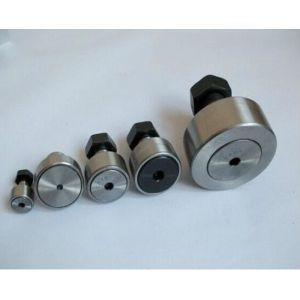 KR10 KR 12 KR13 KR16 KR 19 KR52 CF Miniature Needle Roller Bearings Stainless