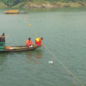 2D Geoelectric Electrical Topography System Resistivity/IP Meter With Electrodes