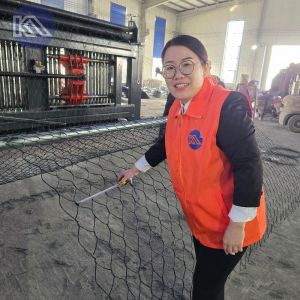 Standard Size Gabion Wire Mesh Roll