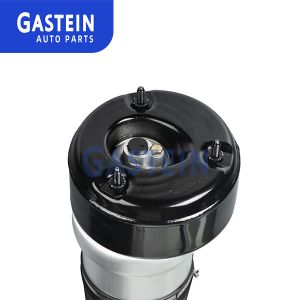 2213209313 Air Suspension Parts W221 Mercedes Benz Shock Absorbers