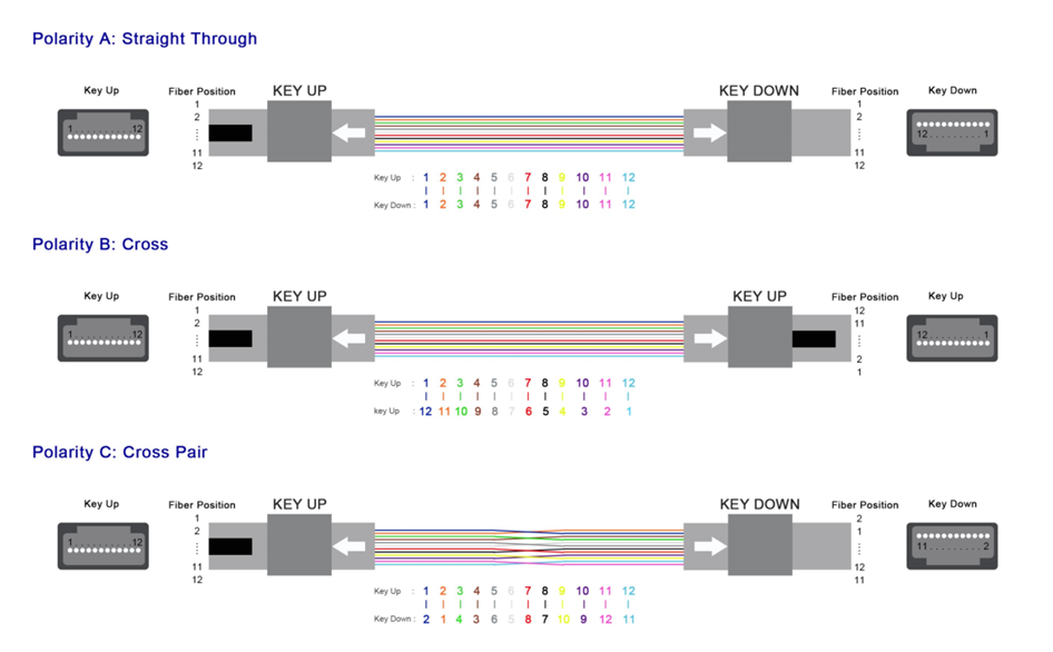 12fo 24fo MM OM3 OM4 50/125 MPO MTP Optical Fibre Patch Cable