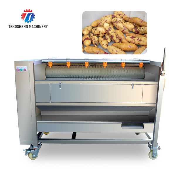 Buy Potato Carrot Brush Cleaning And Peeling Machine 1200-1500KG/H at wholesale prices
