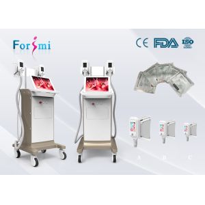 Quality lipodissolve1800 W Cryolipolysis Slimming Machine FMC-I Fat Freezing Machine for sale