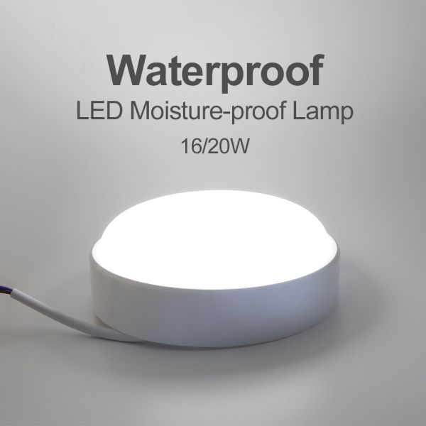 Waterproof Outdoor LED Bulkhead Round / Moistureproof LED Wall Lamp
