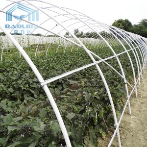 Winter Garden Plant Solar Warm Tunnel Plastic Greenhouse With Heater