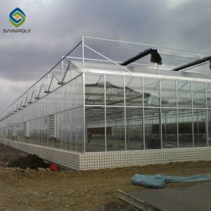 120km/H Agricultural 9.6m Multi Span Glass Greenhouses