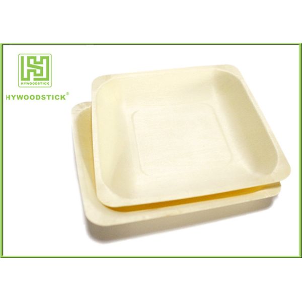 Buy Sturdy Fancy Throw Away Plates , Premium Hotel Disposable Catering Plates at wholesale prices