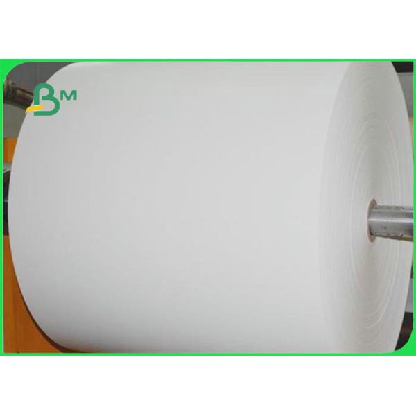 Compostable Cupstock PE Coated Paper For Beverage 100% OBA free 79 * 109cm