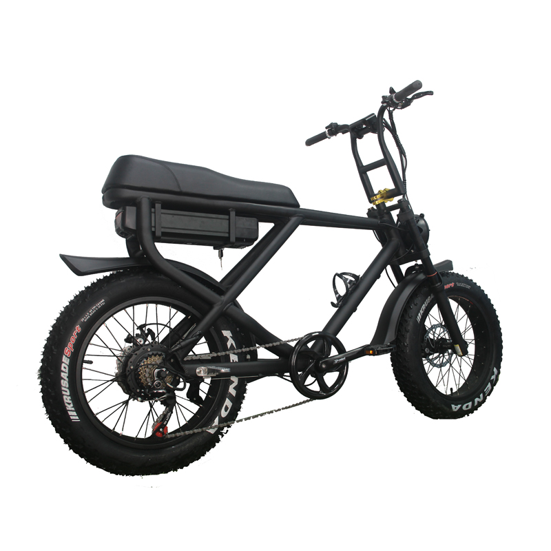 Disc Brake Electric Bike 2022 Version Snow Beach Fast Speed Customized E Bicycle 2 Seats