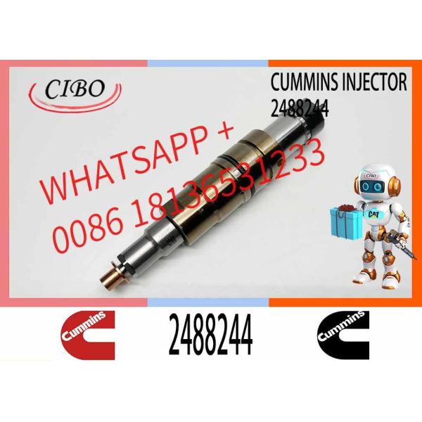2488244 2036181 2872544 2086663 Injector 2057401 2872405 2438101 DC09 DC13 DC16 Injector 2872544