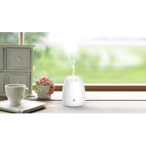 Home Appliance 100ml Ultrasonic Aroma Diffuser And Humidifier