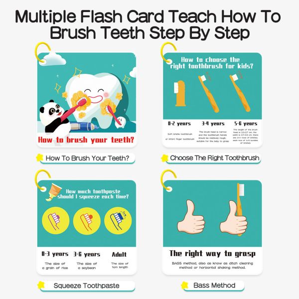 Buy ASTM Brushing Teeth Model For Homeschool Learning at wholesale prices