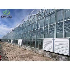 Juxiang prime s Controlled Environment Greenhouse System within Building
