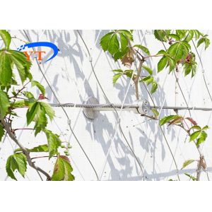 Security Artificial Wire Trellis For Climbing Plants