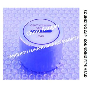 Stainless Steel 316L Elevated Sounding Pipe Head For Marine Ballast Tank Model: